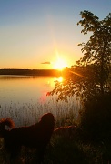 31st May 2012 - Sunset swim