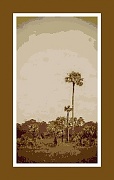 1st Jun 2012 - EvergladesChallenge