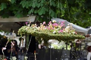 1st Jun 2012 - Jardins jardin