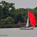 Sailing Along by grannysue