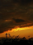 1st Jun 2012 - Yep Another Sunset :)