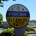 Psychic Cleaners by handmade