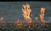 31st May 2012 - Dancing flames