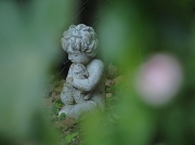 3rd Jun 2012 - Hidden Garden