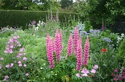 1st Jun 2012 - Cottage Garden