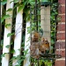 Squirrel-Proof Bird Feeder by allie912