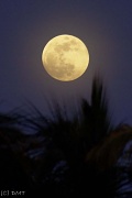 3rd Jun 2012 - Almost full moon