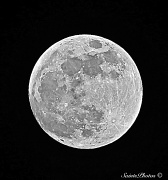 3rd Jun 2012 - New Moon