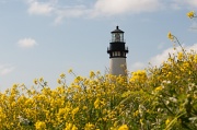 3rd Jun 2012 - The Lighthouse
