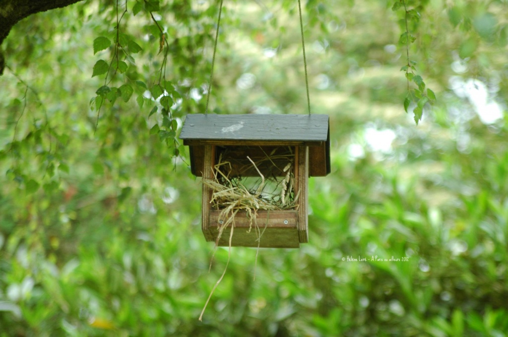 New nest by parisouailleurs