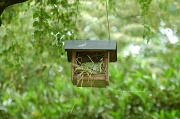 3rd Jun 2012 - New nest
