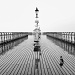 Lone Pigeon on the Pier by rich57