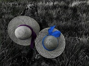 1st Jun 2012 - Cecilia's Hats