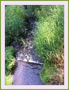 4th Jun 2012 - My Creek