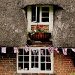 Bunting by andycoleborn