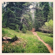 4th Jun 2012 - Pole Creek Trail