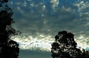 21st May 2012 - Sky