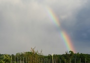 5th Jun 2012 - Somewhere over the rainbow...