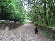 1st Jun 2012 - Walking to Slaithwaite