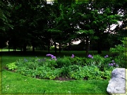 5th Jun 2012 - monarch park