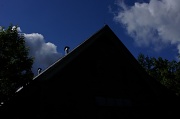 6th Jun 2012 - Blue Sky, At Last!