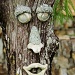 Cypress tree head by danette