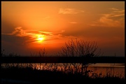5th Jun 2012 - Peaceful Sunset