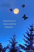 6th Jun 2012 - Full Moon Falling in to the Embrace of the Firs at Twilight