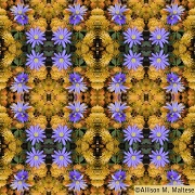 6th Jun 2012 - Purple and Yellow Fabric Design