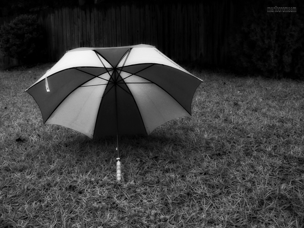 My very old umbrella... by marlboromaam