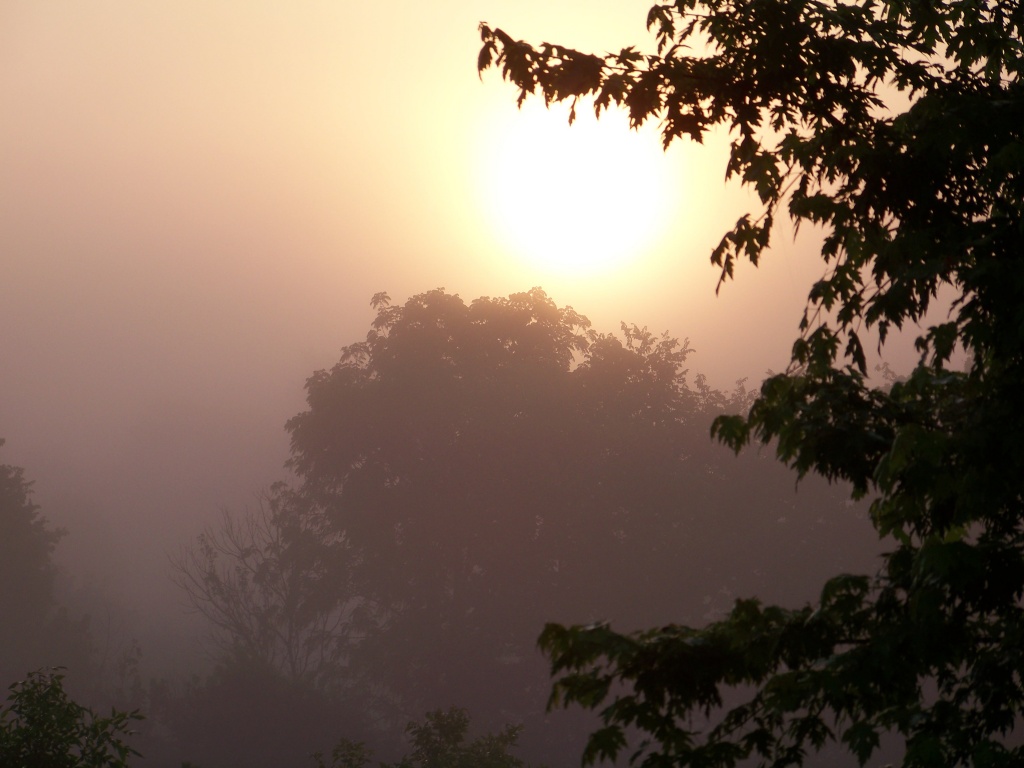 Misty Dawn by cindymc