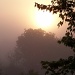Misty Dawn by cindymc