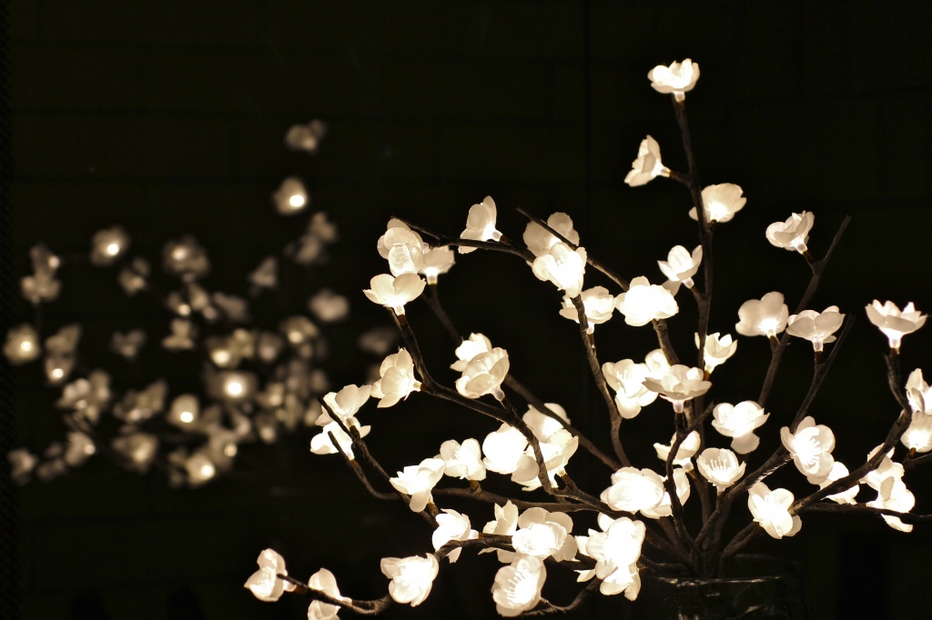 Flower Lights by whiteswan