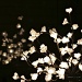 Flower Lights by whiteswan
