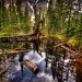 Beaver Pond Reflections by exposure4u
