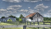 7th Jun 2012 - Kentucky Backroads