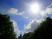 7th Jun 2012 - Beaming Sunshine