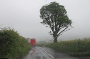 5th Jun 2012 - Did I say it rained?
