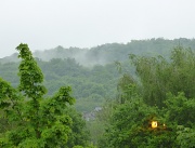 7th Jun 2012 - Rainforest Keighley