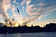 7th Jun 2012 - Thames Sunset