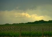 8th Jun 2012 - Storm Clouds