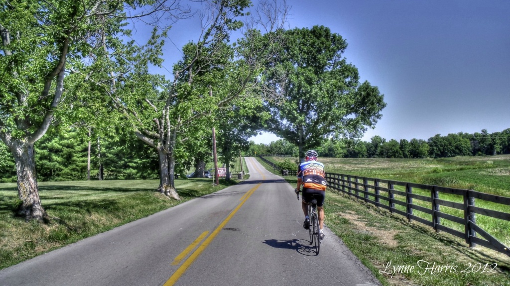 Cycling the Kentucky Backroads by lynne5477