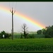 Rainbow by busylady