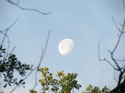 8th Jun 2012 - Framed Moon