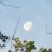 Framed Moon by grammyn