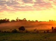 8th Jun 2012 - Sundown Mist