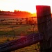 Baled Hay at Sundown by cindymc