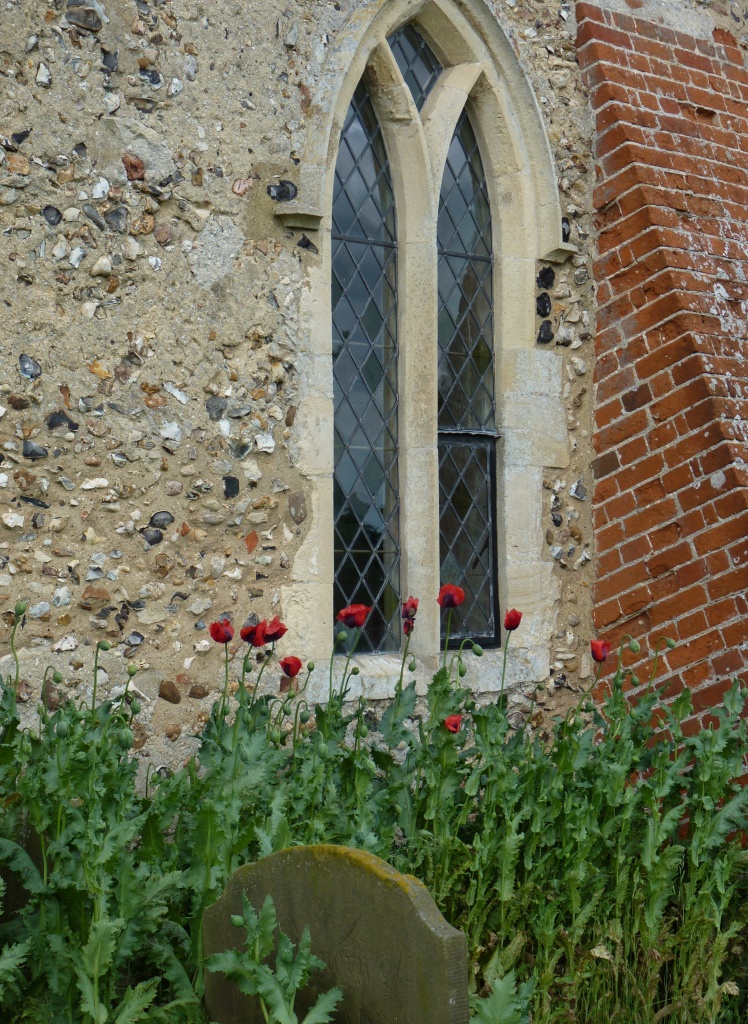Poppies against a church window by lellie