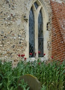 9th Jun 2012 - Poppies against a church window