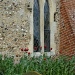 Poppies against a church window by lellie